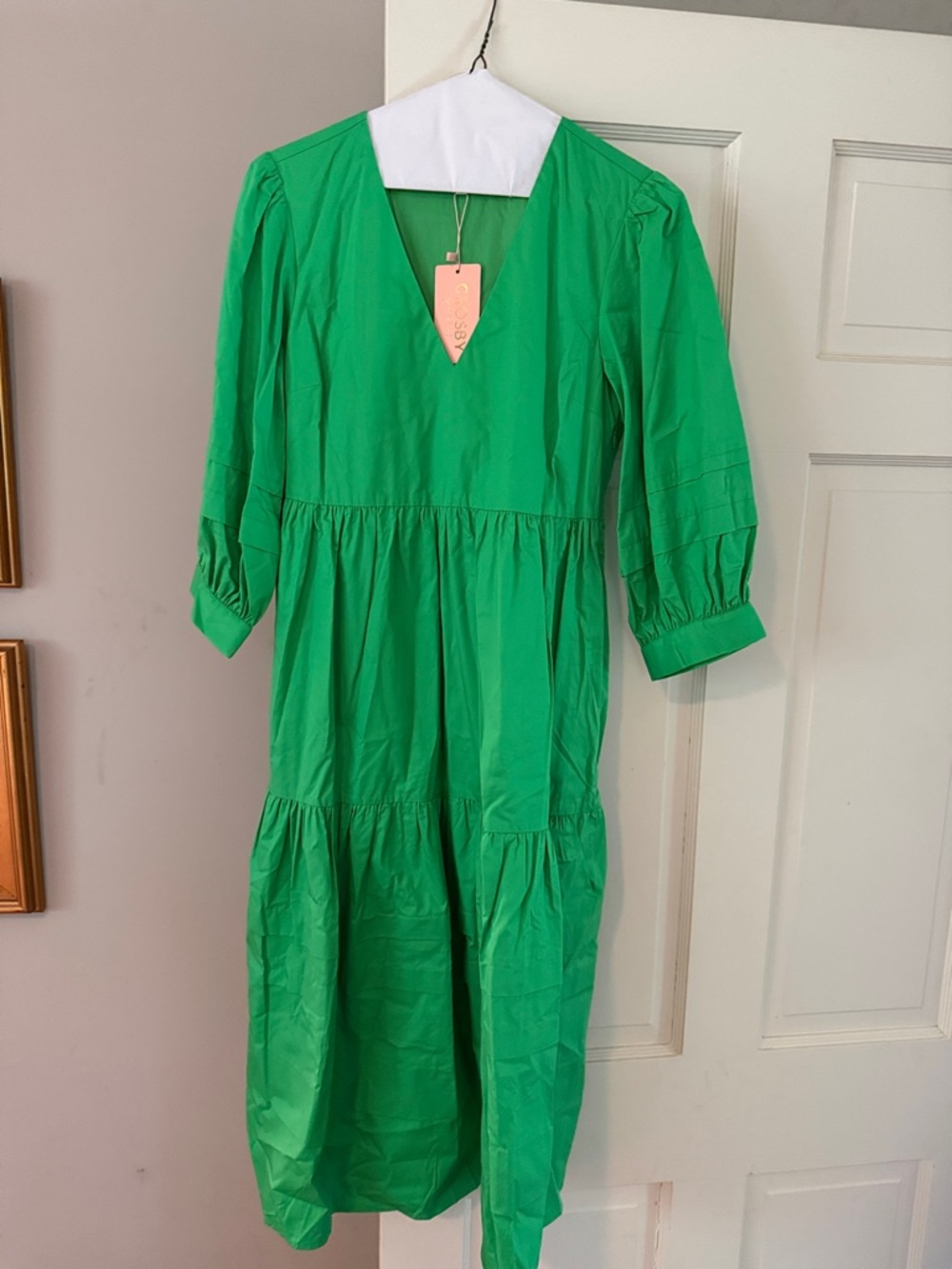 NWT fabulous Crosby by Millie Burch Wylie dress